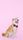 shiba inu