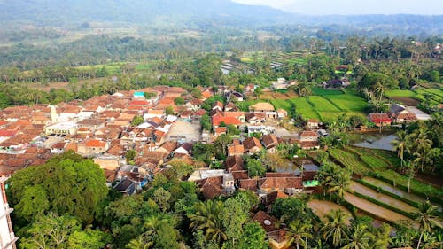 Drone Footage of Houses and Agricultural Fields