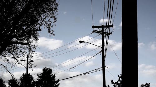 Power Lines and Tall Posts
