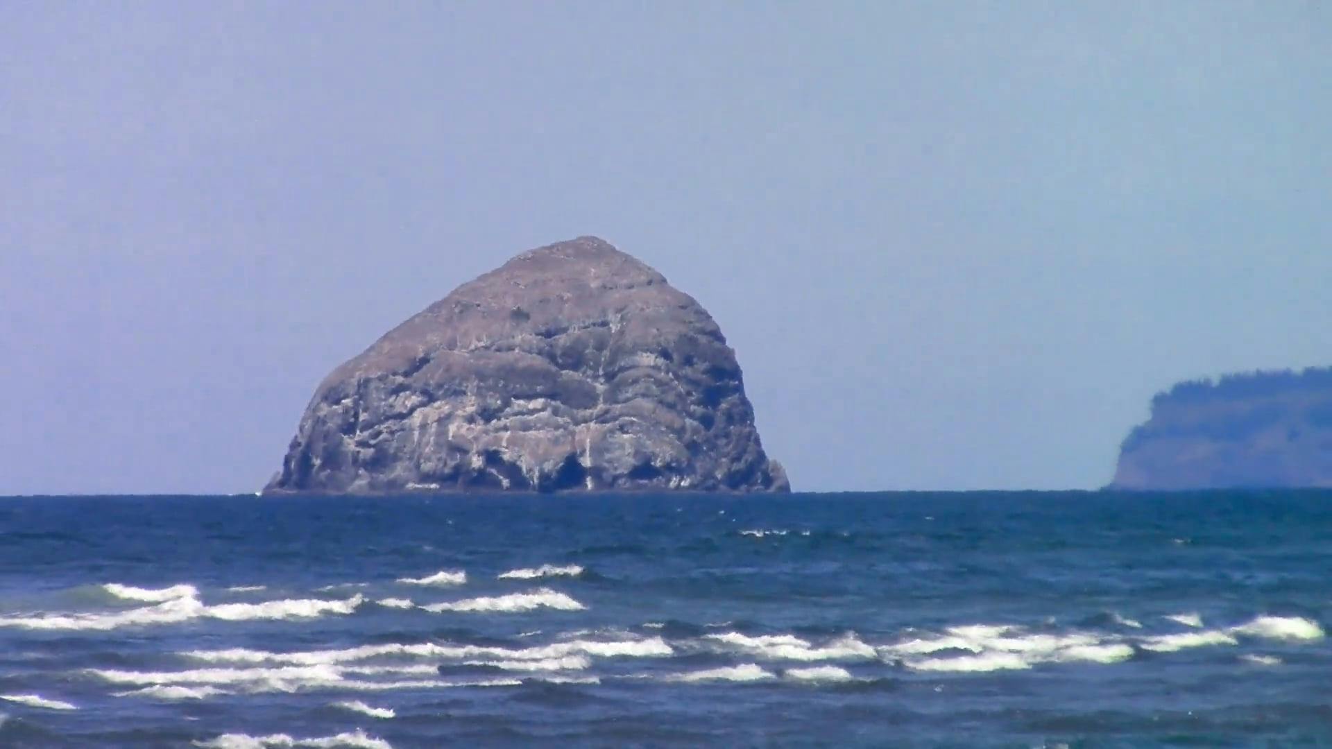 Video by Mark Haynal