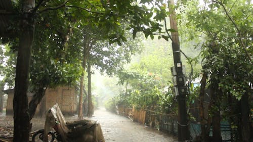 Downpour in the Province