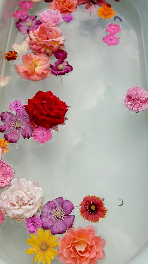 Flowers in a Bath Tub