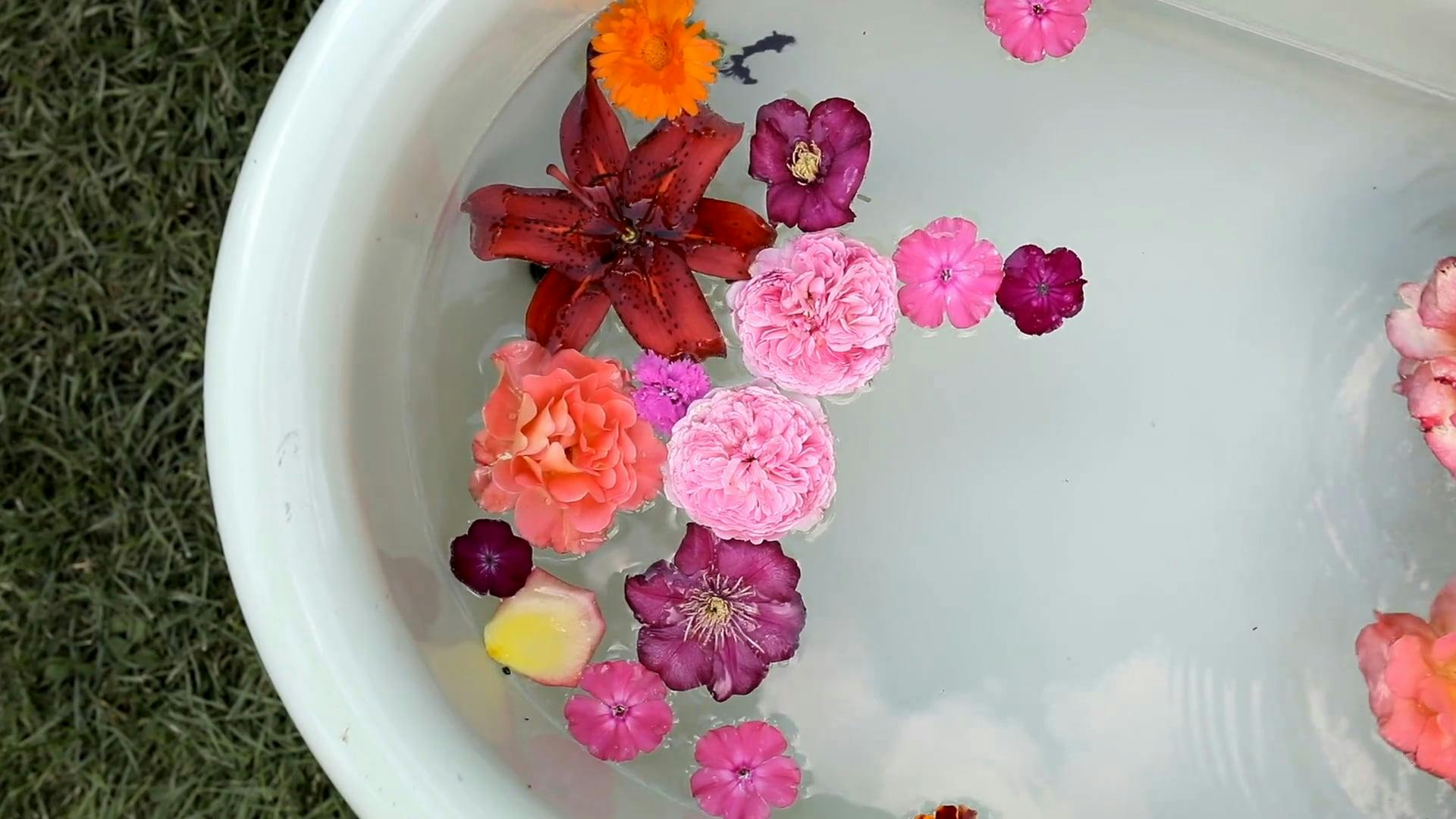 Flowers in a Bath Tub · Free Stock Video