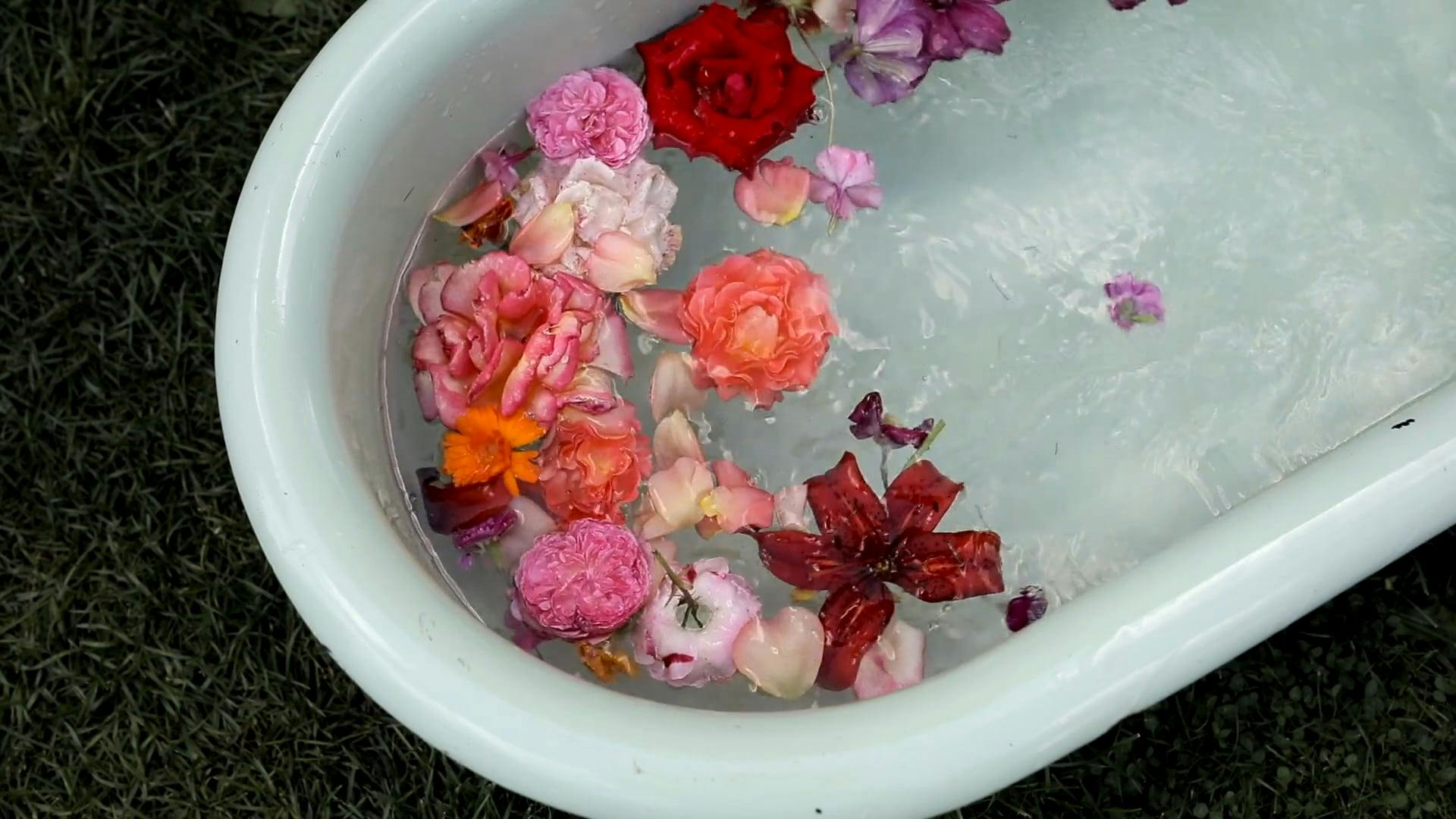 Flowers in a Bath Tub · Free Stock Video
