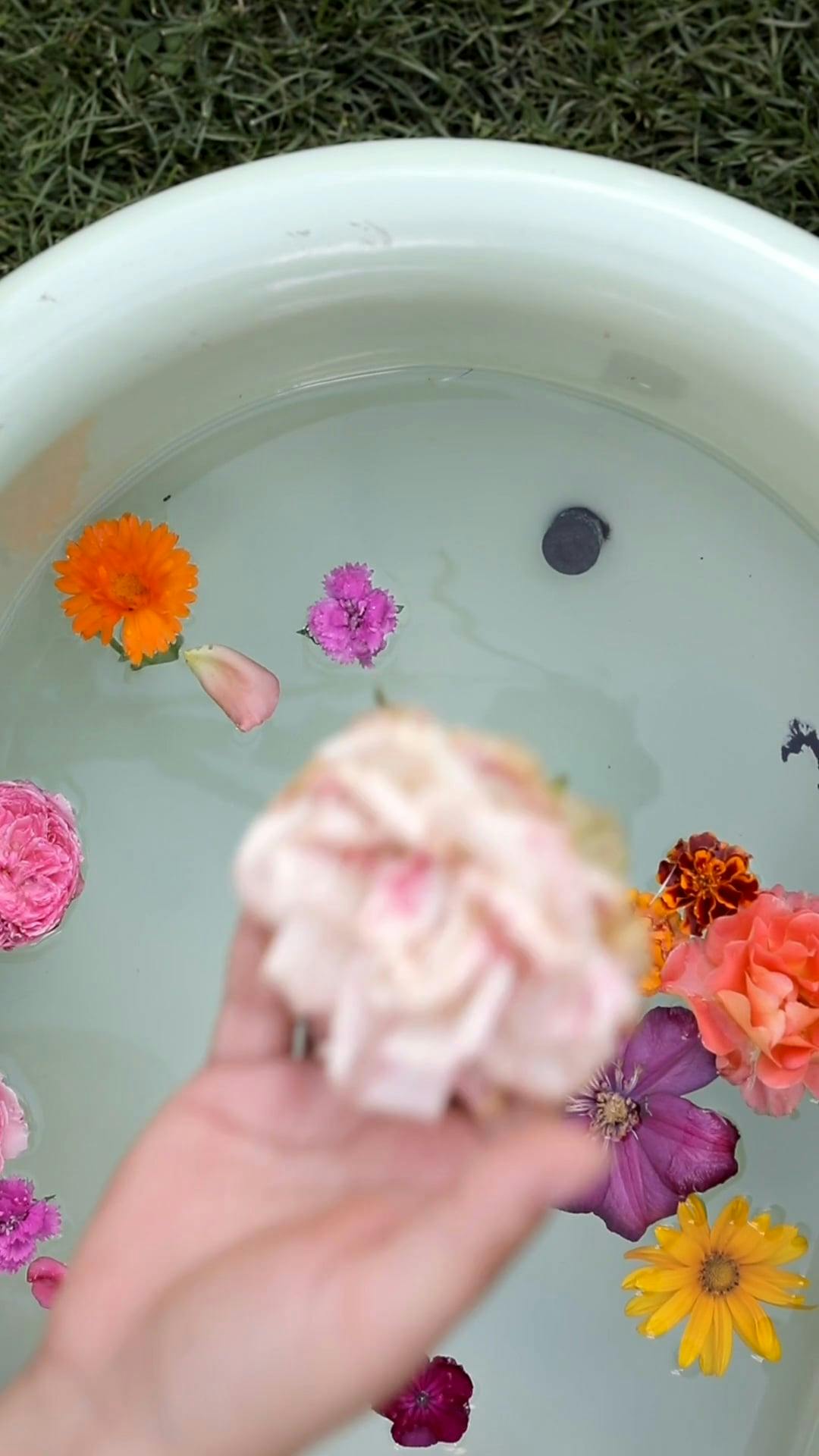 Flowers in a Bath Tub · Free Stock Video