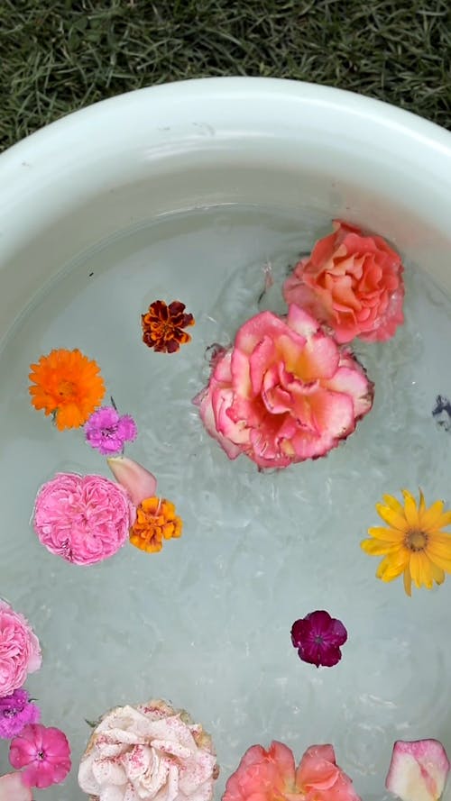 Bathtub Full of Flower
