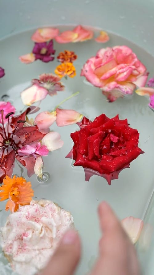 Romantic bathtub with flower petals and , Stock Video