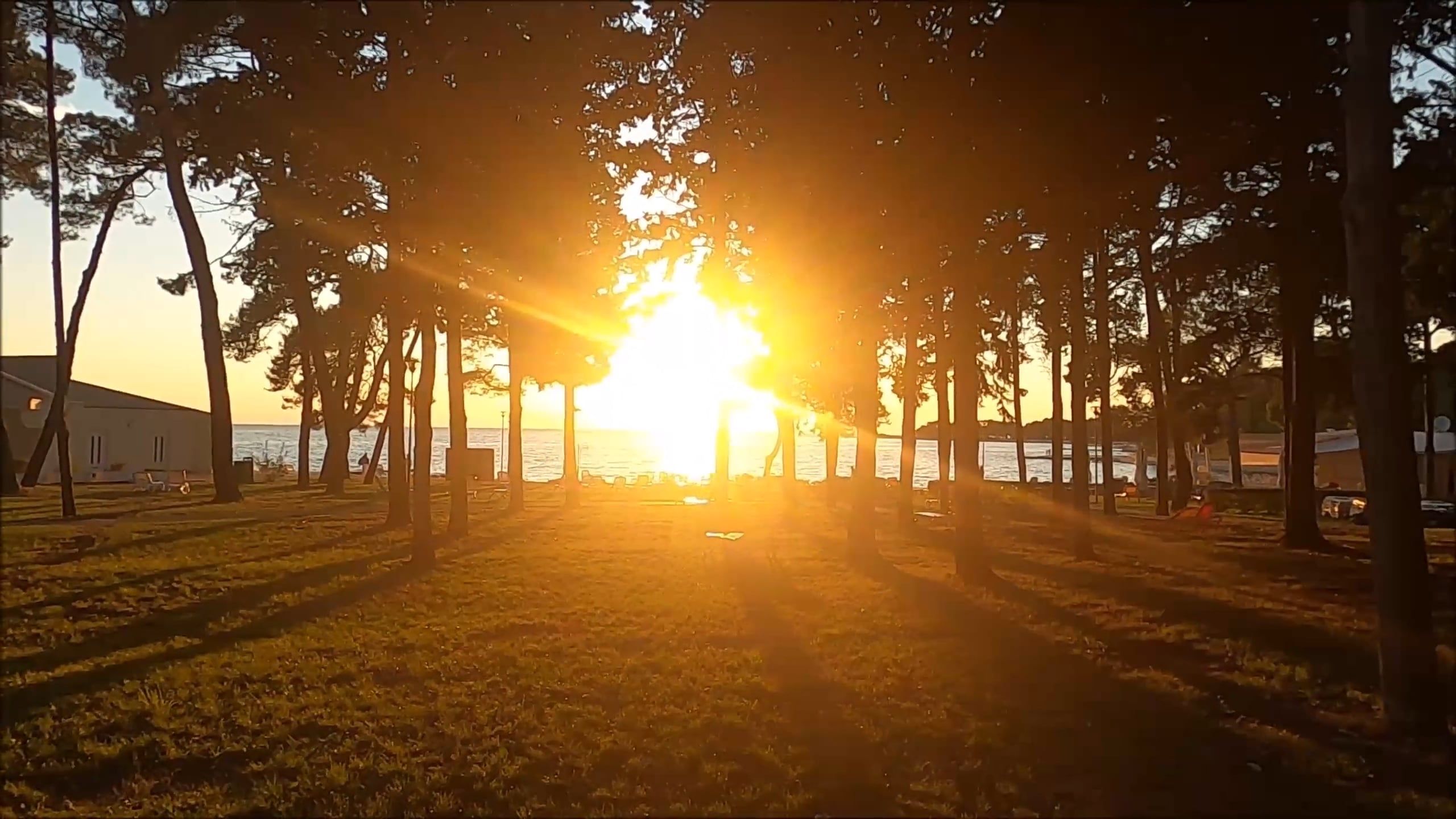 Video by Martina Tomšič