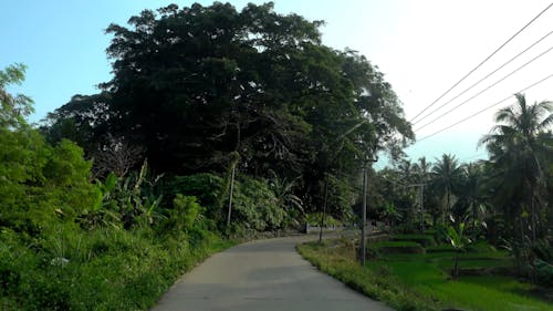 Driving at the Countryside