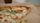 pizza slice