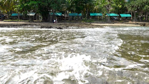 Video Footage Of A Rocky Shoreline