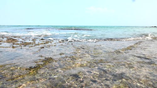 Close-Up View of Sea Waves on Beach Shore