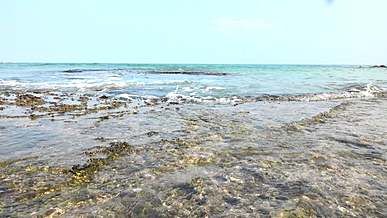 close up view of sea waves on beach shore