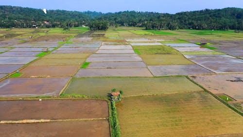 Drone Footage of Agricultural Land