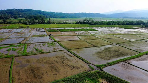 Drone Footage of Agricultural Land