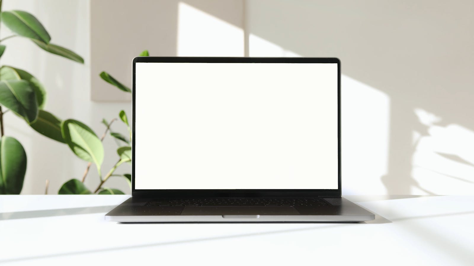 Laptop Computer on White Surface Against White Background Free Stock