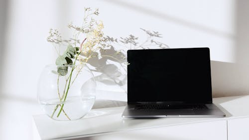 Laptop Computer on White Surface Beside the Decorative Plant in Glass Vase