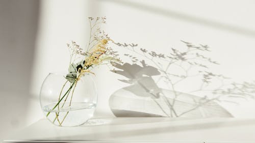 Decorative Flower in Glass Vase Against White Background
