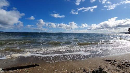 Sea Waves Crashing on Beach Shore