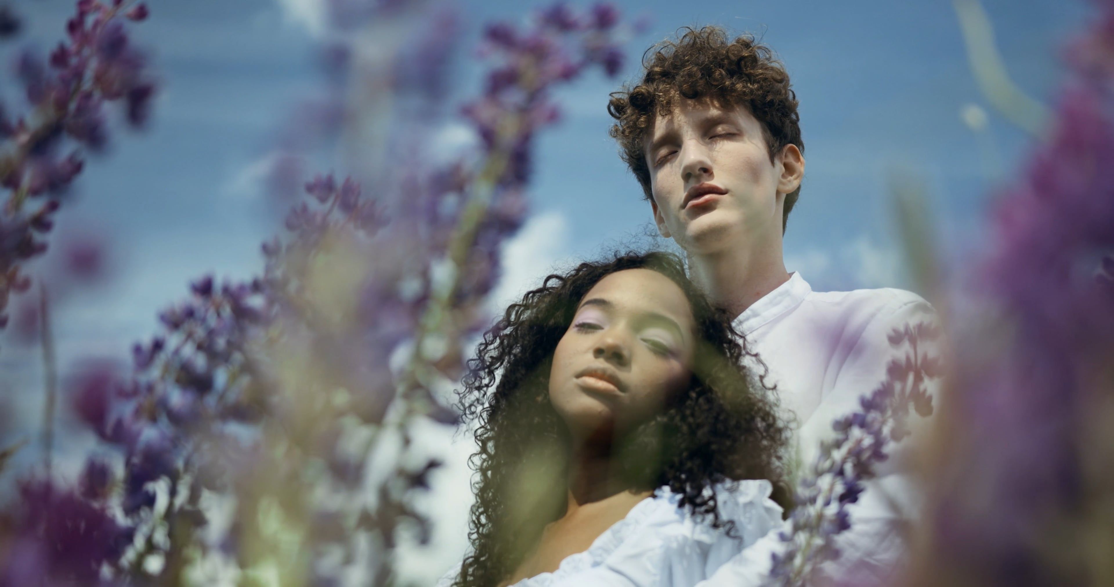 A couple in a field of flowers with a man and woman Free Stock Video ...