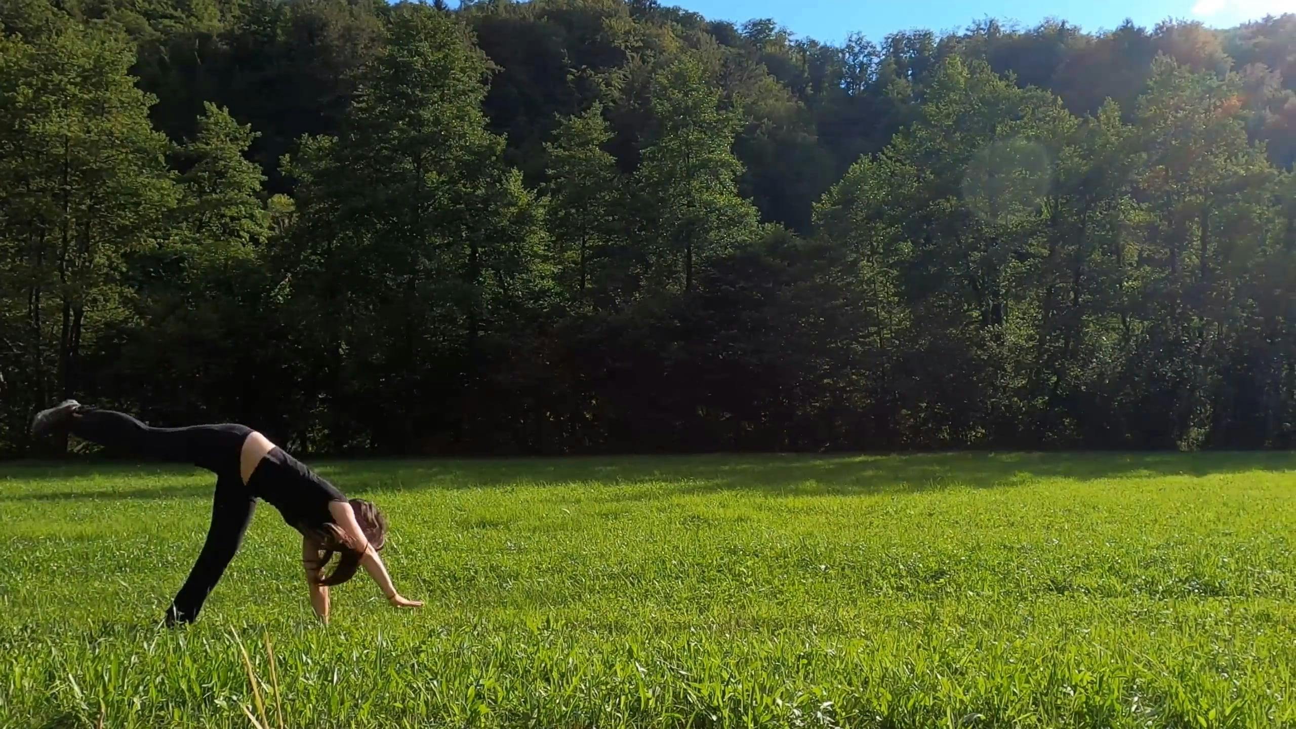 Woman Doing Cartwheels on Grass Field · Free Stock Video