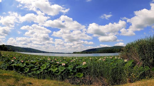 A Beautiful Outdoor Scenery In A Time lapse Video