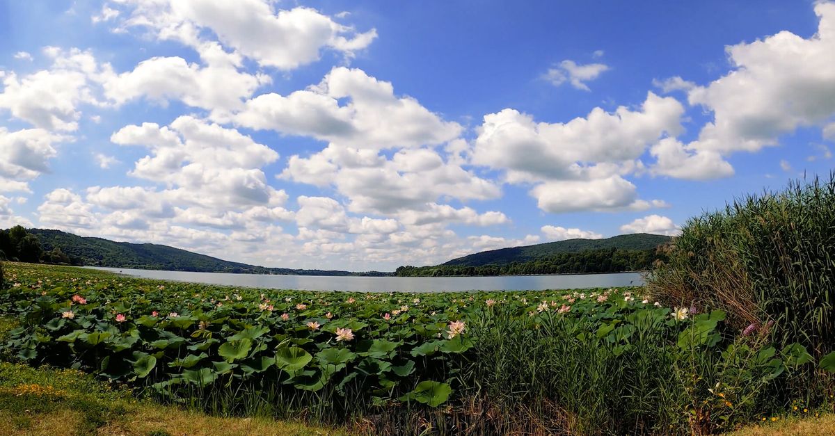 Beautiful Outside Camera View A Beautiful Outdoor Scenery In A Time lapse Video Β· Free Stock Video
