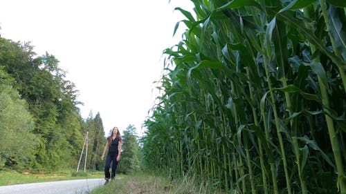 Woman Checking on Corn Field