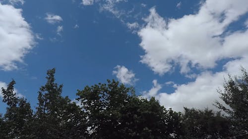 Time-Lapse Video of White Clouds During Daytime
