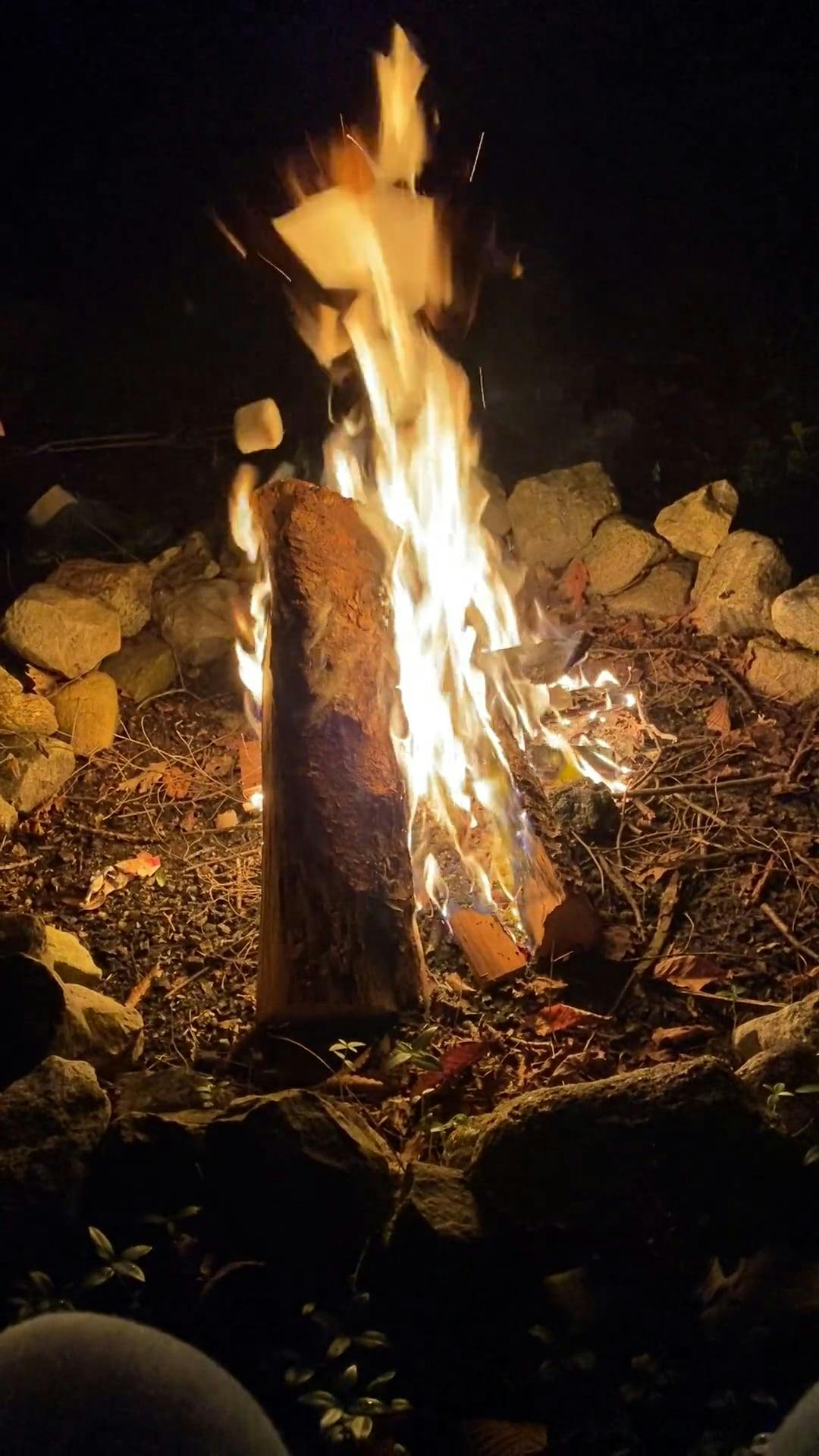 A Footage of a Bonfire · Free Stock Video