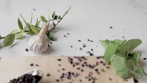 Herbs and Spices on Spoons