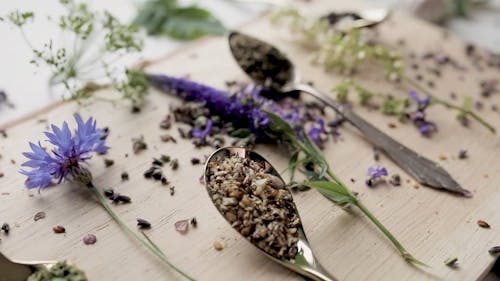 Herbs and Spices on Spoons