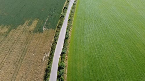 Drone Flying Over An Agricultural Field