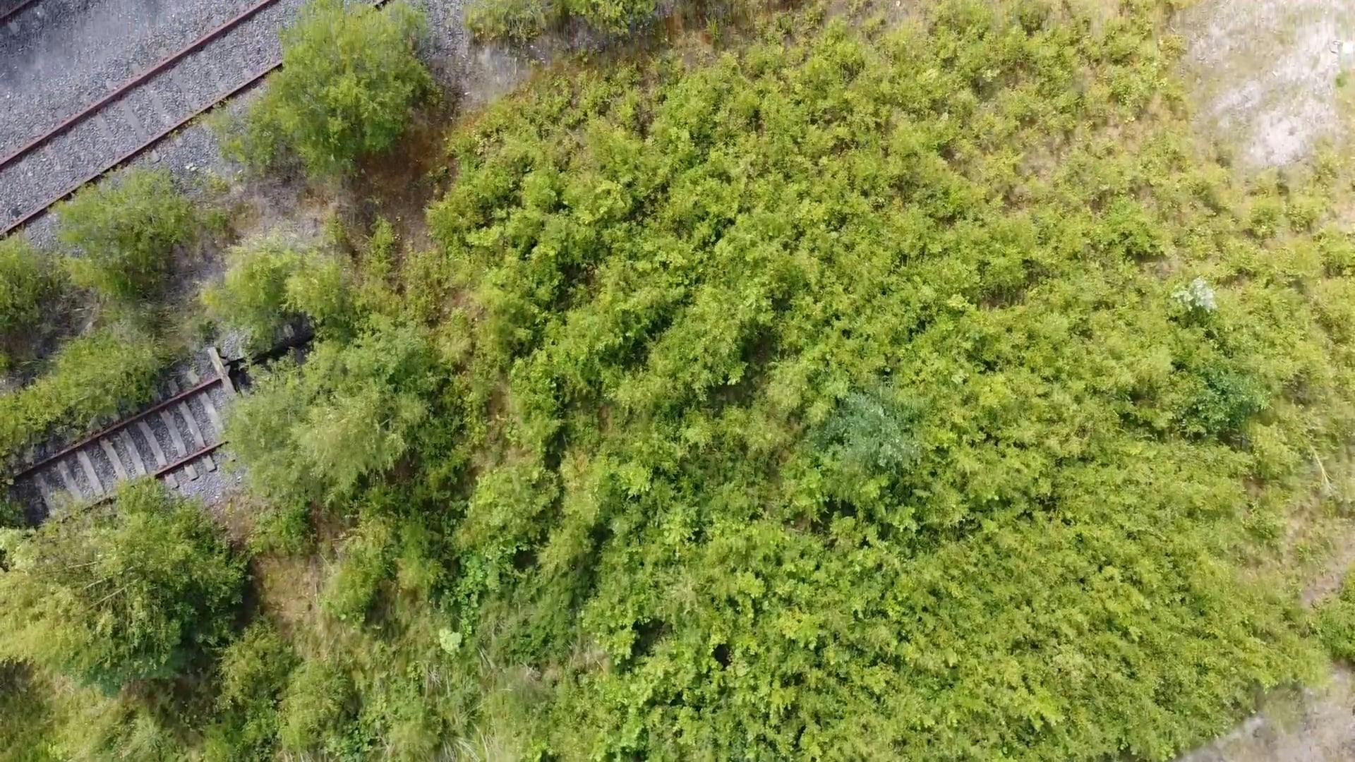 Old Dirt Videos, Download The BEST Free 4k Stock Video Footage & Old