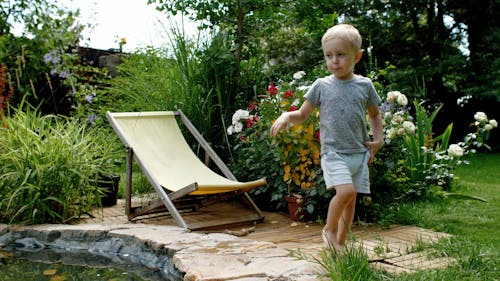 Kid Play at the Backyard