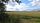 grass field