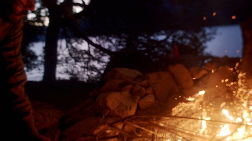 A Man Making A Campfire Using Dried Tree Woods