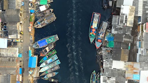 Fishing Boats Docked On The riversides