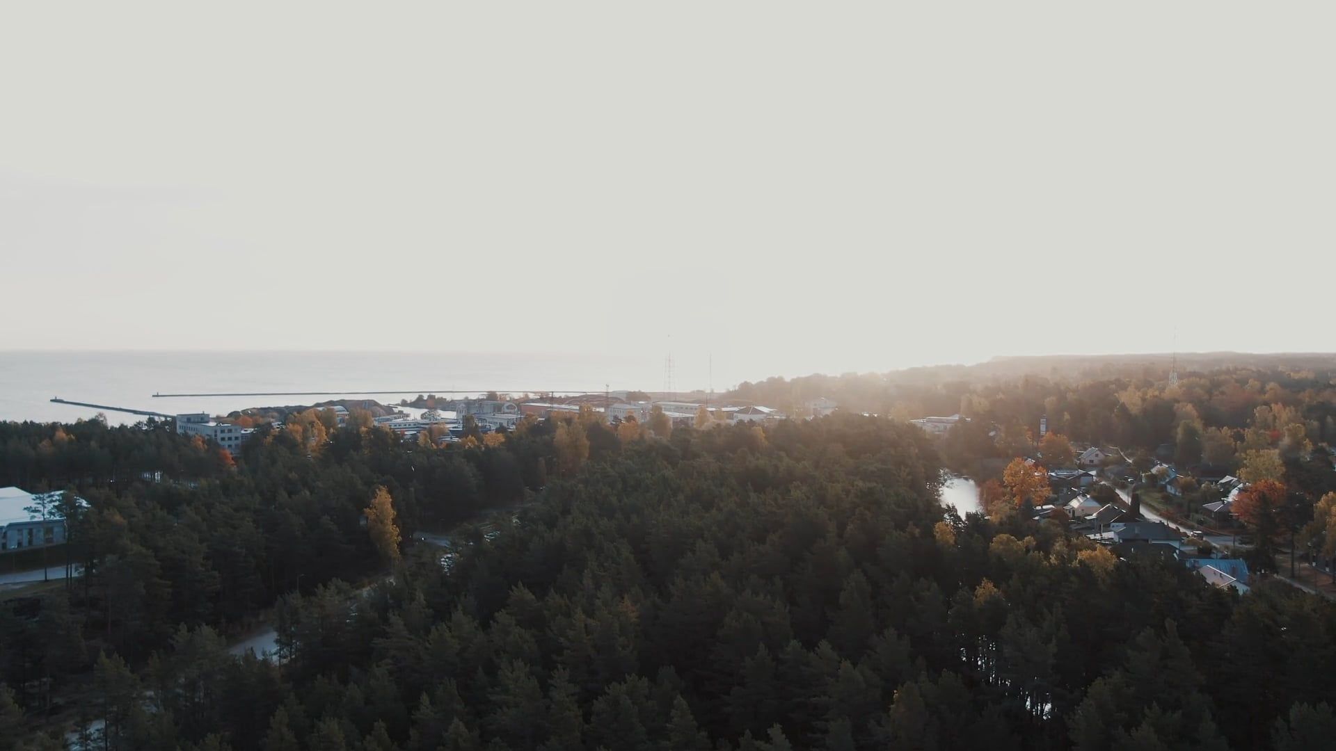 Drone Footage Of A Coastal Forest · Free Stock Video