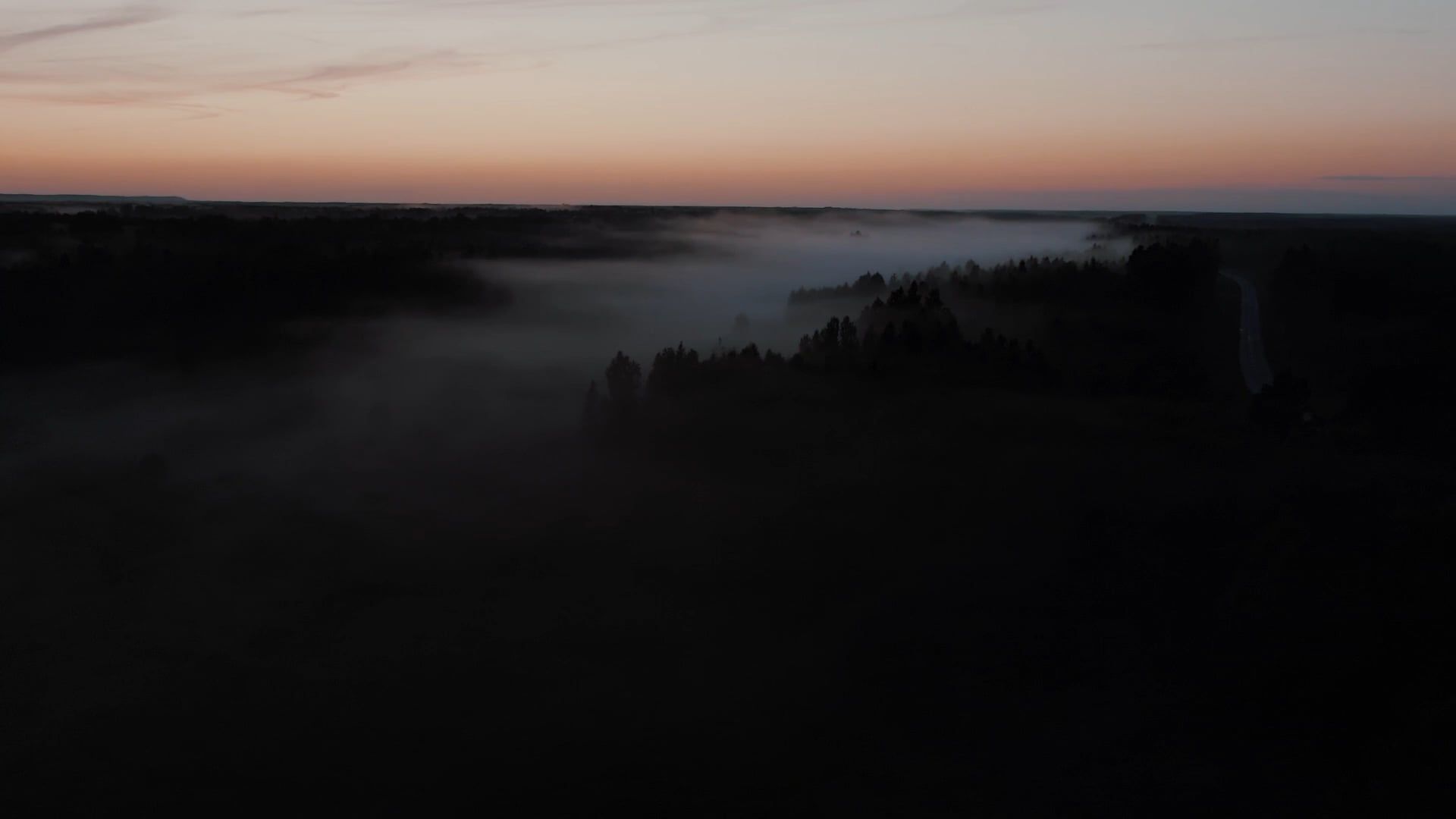 A Forest Covered In Fog Free Stock Video Footage, Royalty-Free 4K & HD ...
