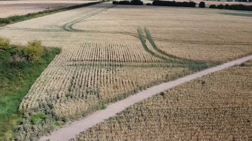 Drone Footage of Farm Fields