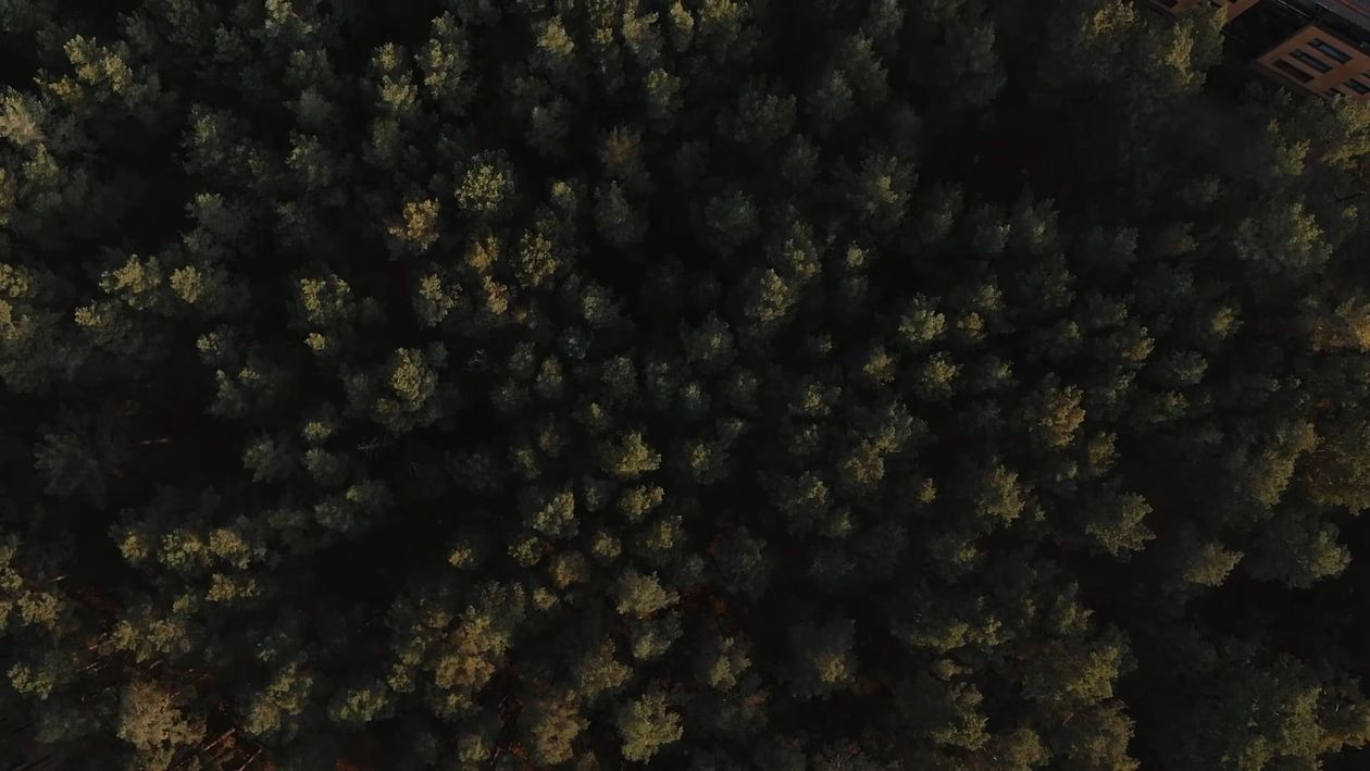 Drone Footage of a Trees and House Free Stock Video Footage, Royalty ...