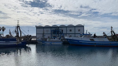 Ships Docked at a Harbor