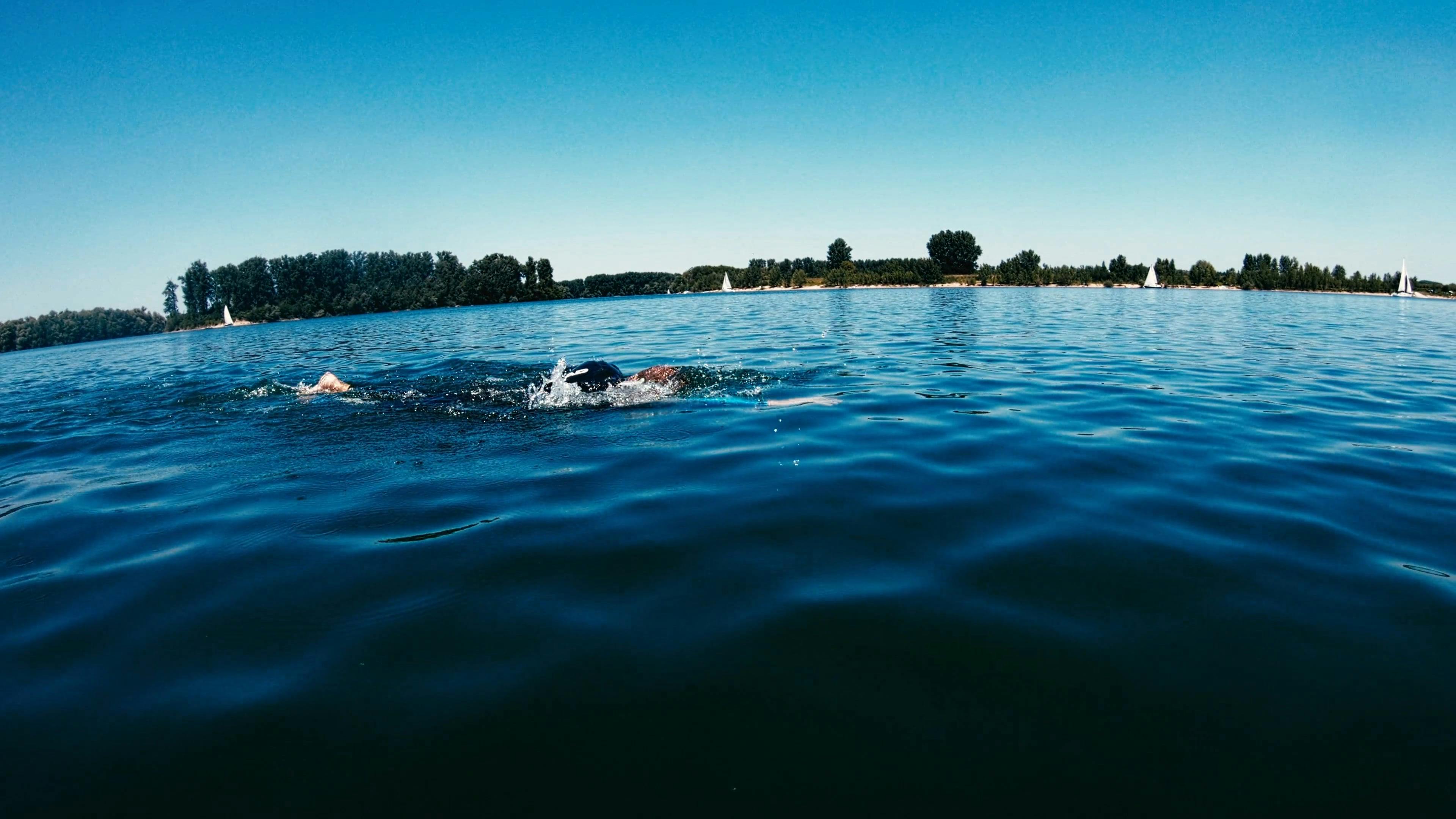 A Swimmer Swimming in the Lake · Free Stock Video