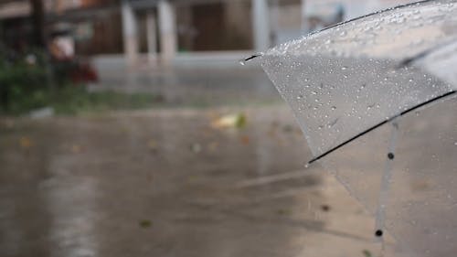 Raindrops on an Umbrella