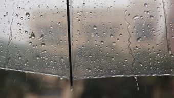 雨景视频素材