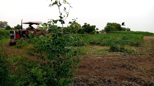 Person Operating a Tractor