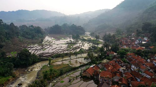 A Vast Cropland in Indonesia