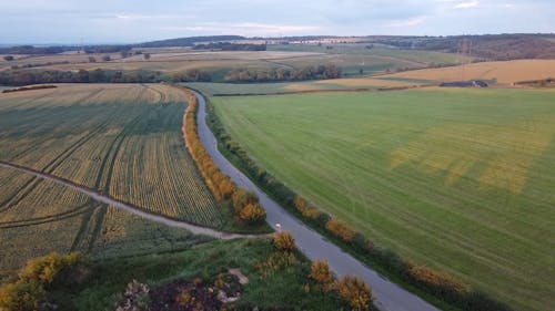 Drone Footage of a Farmland