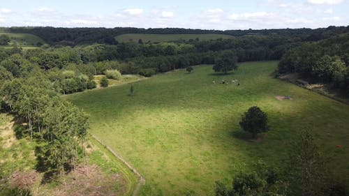 Drone Footage of a Farmland